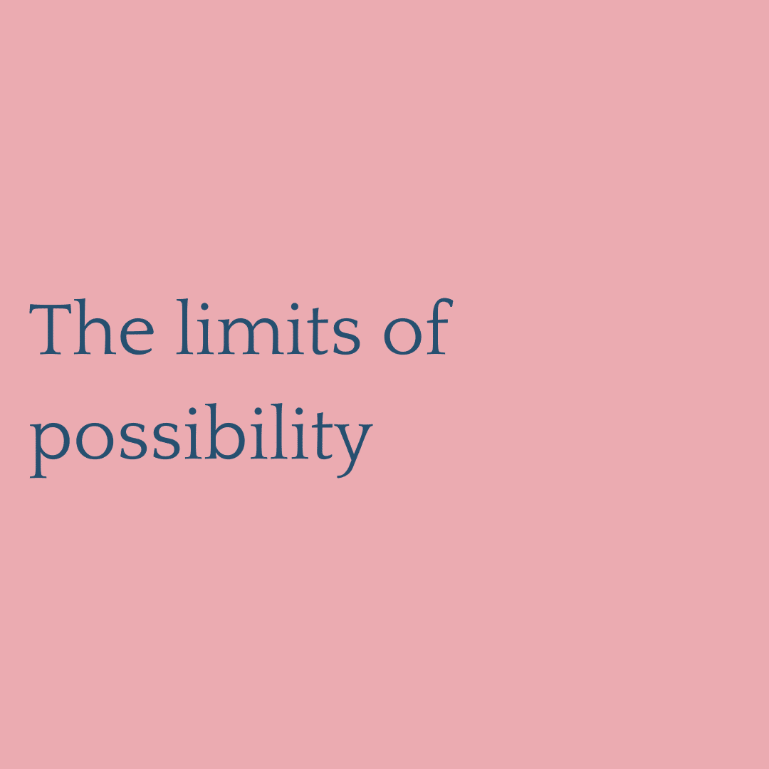 the-limits-of-possibility-laura-hartley-public-love-enterprises