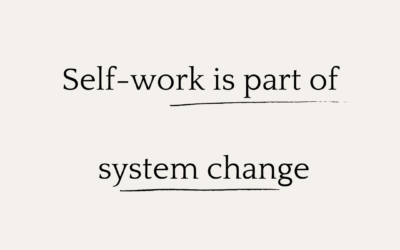 Self Work is Part of System Change